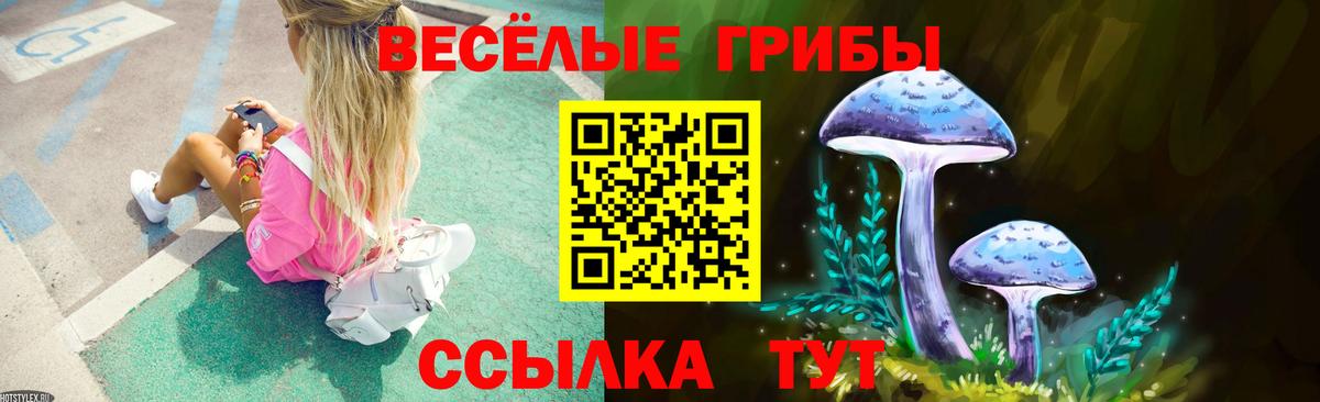 Ишимбай  Галлюциногенные грибы MAGIC MUSHROOMS  Вход с VPN 